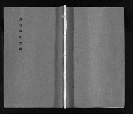 浙江林氏族谱-泽前林氏宗谱 [不分卷].pdf电子版插图1