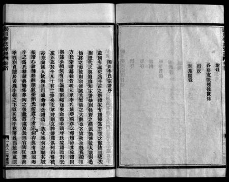 浙江李氏族谱-淀川李氏宗谱 [不分卷,首1卷].pdf电子版插图4