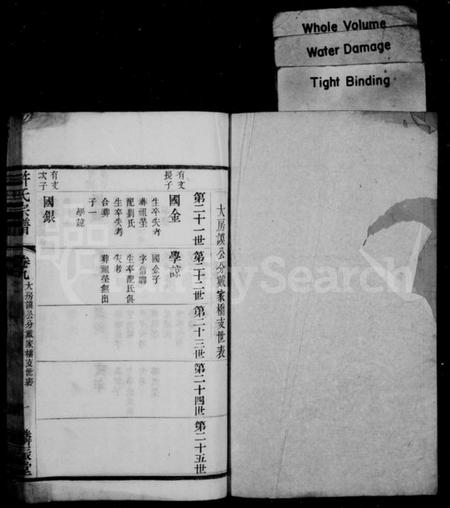 中国许氏族谱-许氏宗谱.pdf电子版插图2 中国许氏族谱-许氏宗谱.pdf电子版插图2