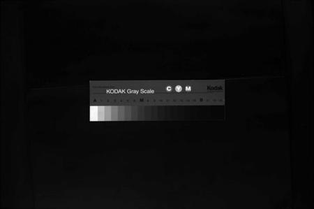 浙江梅氏族谱-瀫西万田梅氏宗谱 [8卷].pdf电子版