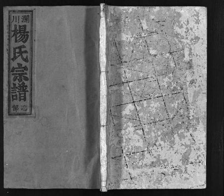 浙江杨氏族谱-澜川杨氏宗谱 [4卷].pdf电子版插图1