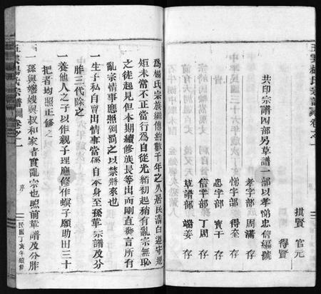 浙江杨氏族谱-澜川杨氏宗谱 [4卷].pdf电子版插图5