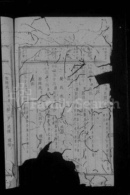 浙江倪氏族谱-乌岩倪氏宗谱 [残卷].pdf电子版插图4