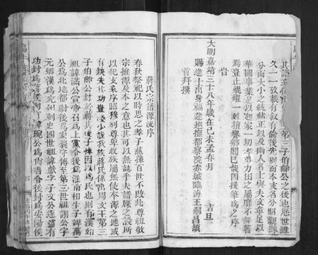 浙江蒋氏族谱-乌牛蒋氏宗谱[不分卷].pdf电子版插图4