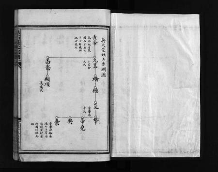 浙江吴氏族谱-乌石吴氏宗谱.pdf电子版插图2 浙江吴氏族谱-乌石吴氏宗谱.pdf电子版插图2