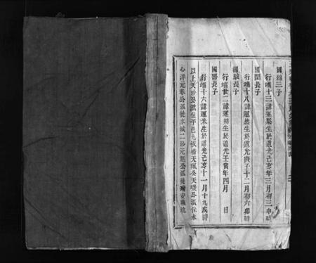 浙江王氏族谱-玉乐瑞平太王氏宗谱 [4卷].pdf电子版插图1