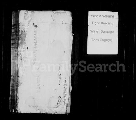 浙江王氏族谱-王氏宗谱.pdf电子版插图1