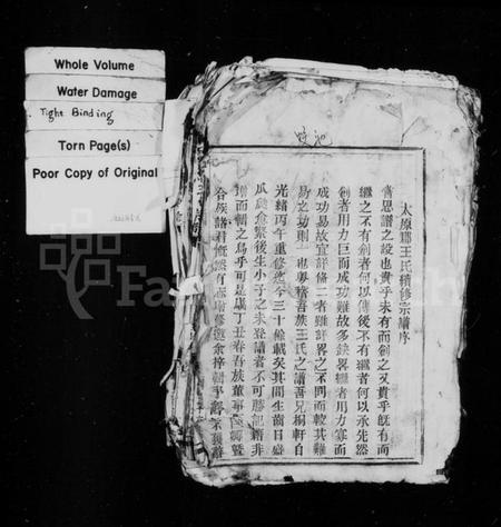 浙江王氏族谱-王氏宗谱.pdf电子版插图1