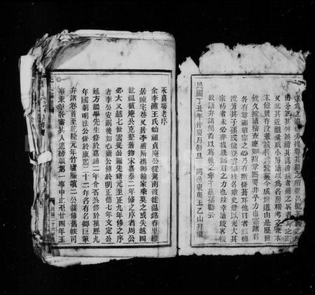 浙江王氏族谱-王氏宗谱.pdf电子版插图2