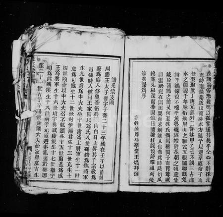 浙江王氏族谱-王氏宗谱.pdf电子版插图5