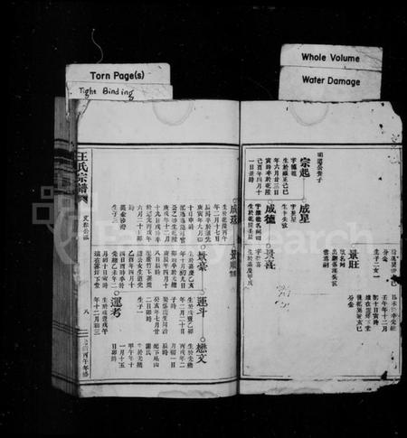 浙江王氏族谱-王氏宗谱.pdf电子版插图2