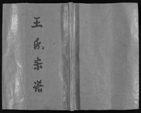 浙江王氏族谱-王氏宗谱 [3卷,首1卷].pdf电子版插图1