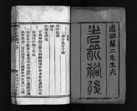 浙江王氏族谱-王氏宗谱 [4卷].pdf电子版插图2