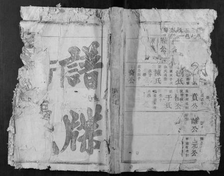 浙江王氏族谱-王氏续修族谱[不分卷].pdf电子版