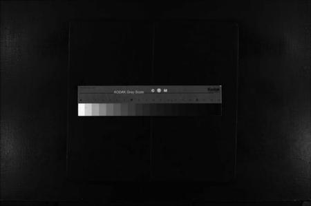 浙江陈氏族谱-玠屿陈氏大宗谱 [不分卷].pdf电子版