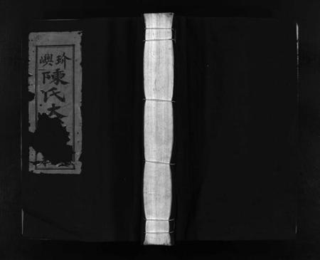 浙江陈氏族谱-玠屿陈氏大宗谱 [不分卷].pdf电子版插图1