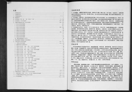 湖北许氏族谱-许氏总谱[不分卷].pdf电子版插图2