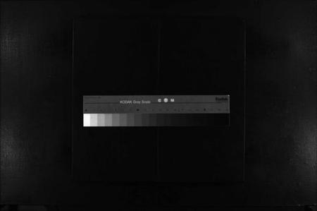 浙江陈氏族谱-玠屿陈氏宗谱 [不分卷].pdf电子版