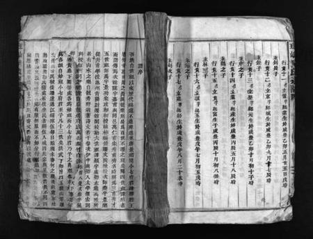 浙江陈氏族谱-玠屿陈氏宗谱 [不分卷].pdf电子版插图1