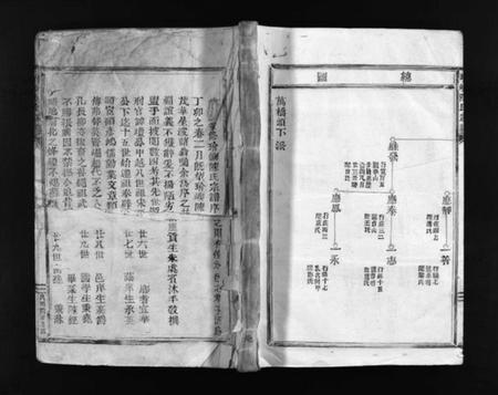 浙江陈氏族谱-玠屿陈氏宗谱 [不分卷].pdf电子版插图1