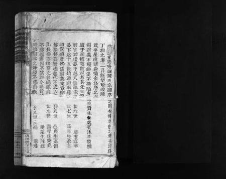 浙江陈氏族谱-玠屿陈氏宗谱 [不分卷].pdf电子版插图2