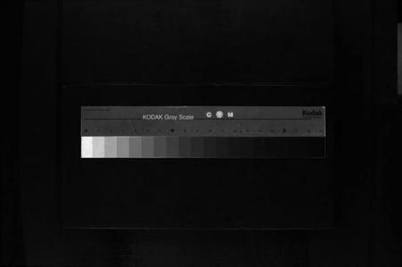 浙江陈氏族谱-珠川五地陈氏宗谱 [不分卷].pdf电子版