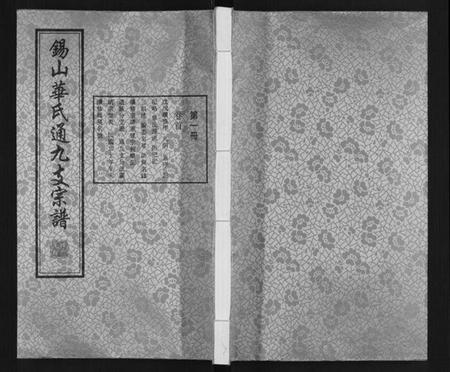 江苏华氏族谱-华氏通九支宗谱[28卷首1卷 统宗附谱1卷].pdf电子版