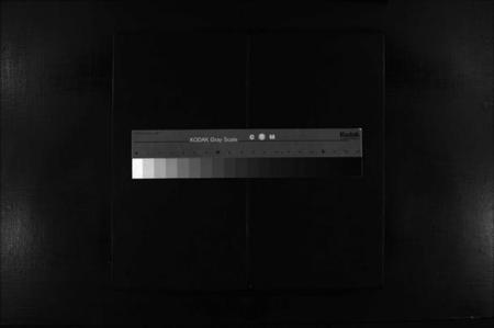 浙江朱氏族谱-瑶川朱氏宗谱 [1卷].pdf电子版