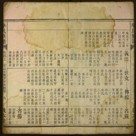 湖北华氏族谱-华氏族谱.pdf电子版插图2