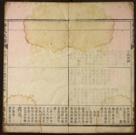 湖北华氏族谱-华氏族谱.pdf电子版插图3