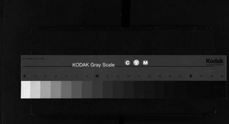 浙江田氏族谱-田氏宗谱 [2册].pdf电子版