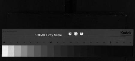 浙江应氏族谱-当渡灵岩前寺宗谱 [2卷].pdf电子版