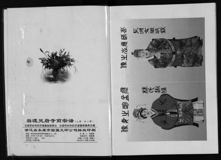 浙江应氏族谱-当渡灵岩前寺宗谱 [2卷].pdf电子版插图3