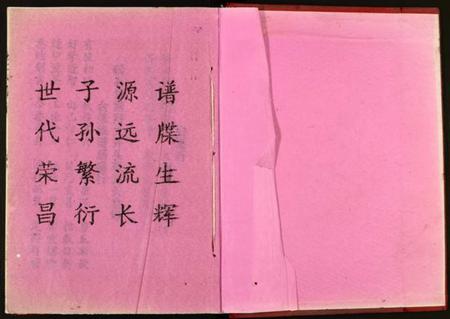 湖南彭氏族谱-彭氏族谱.pdf电子版插图1