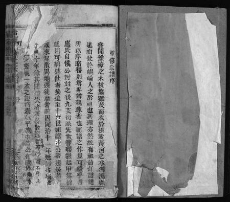 浙江卢氏族谱-卢氏宗谱.pdf电子版插图2 浙江卢氏族谱-卢氏宗谱.pdf电子版插图2