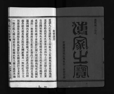 浙江何氏族谱-卢江郡何氏宗谱 [不分卷].pdf电子版插图2