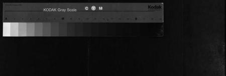 浙江贾氏族谱-真定贾氏宗谱 [23卷,首1卷].pdf电子版