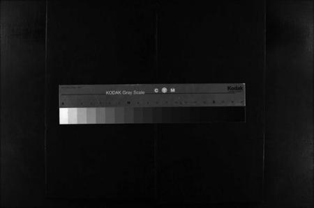 浙江石氏族谱-石氏宗谱 [不分卷].pdf电子版