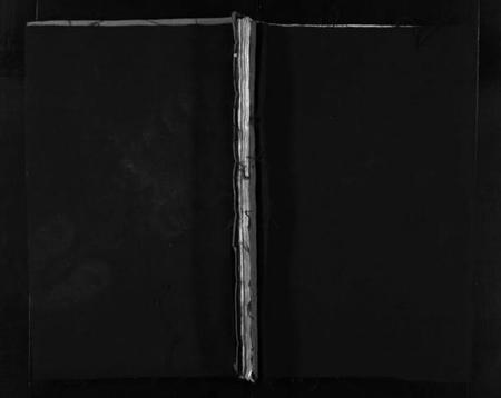 浙江石氏族谱-石氏宗谱 [不分卷].pdf电子版插图1