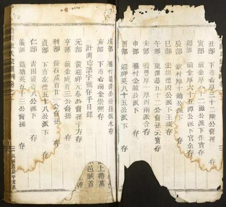 浙江陈氏族谱-颖川陈氏宗谱.pdf电子版插图1