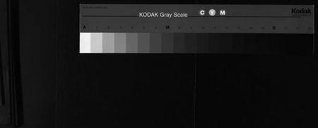 浙江卢氏族谱-竹川卢氏宗谱 [8卷].pdf电子版