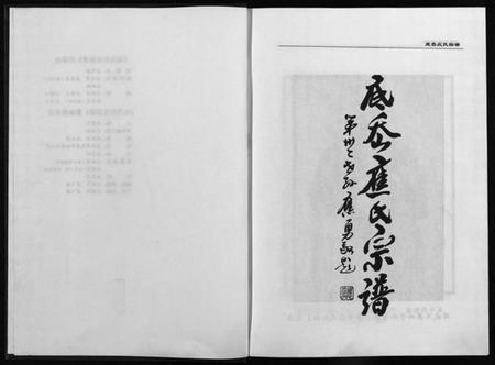 浙江应氏族谱-缙云底岙应氏宗谱 [不分卷].pdf电子版插图3