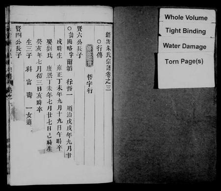 浙江朱氏族谱-缙云朱氏宗谱.pdf电子版插图2