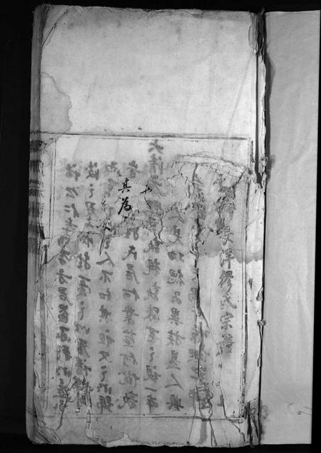 浙江缪氏族谱-缪氏宗谱 [不标卷数].pdf电子版插图3