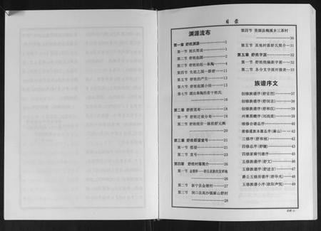 湖南舒氏族谱-中华舒氏统谱.pdf电子版插图2