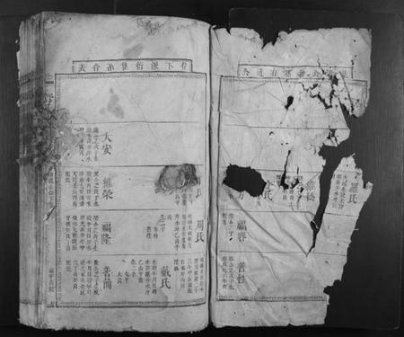 湖南舒氏族谱-舒氏续修族谱.pdf电子版插图2