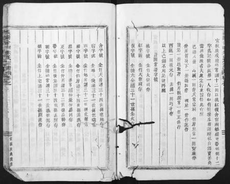 浙江朱氏族谱-义阳金竹塘朱氏宗谱.pdf电子版插图4