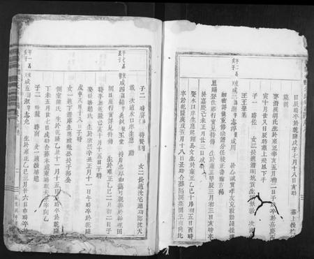 浙江朱氏族谱-义阳金竹塘朱氏宗谱.pdf电子版插图2