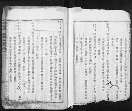 浙江朱氏族谱-义阳金竹塘朱氏宗谱.pdf电子版插图3
