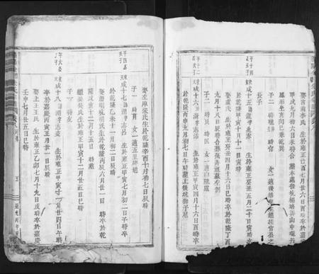 浙江朱氏族谱-义阳金竹塘朱氏宗谱.pdf电子版插图5